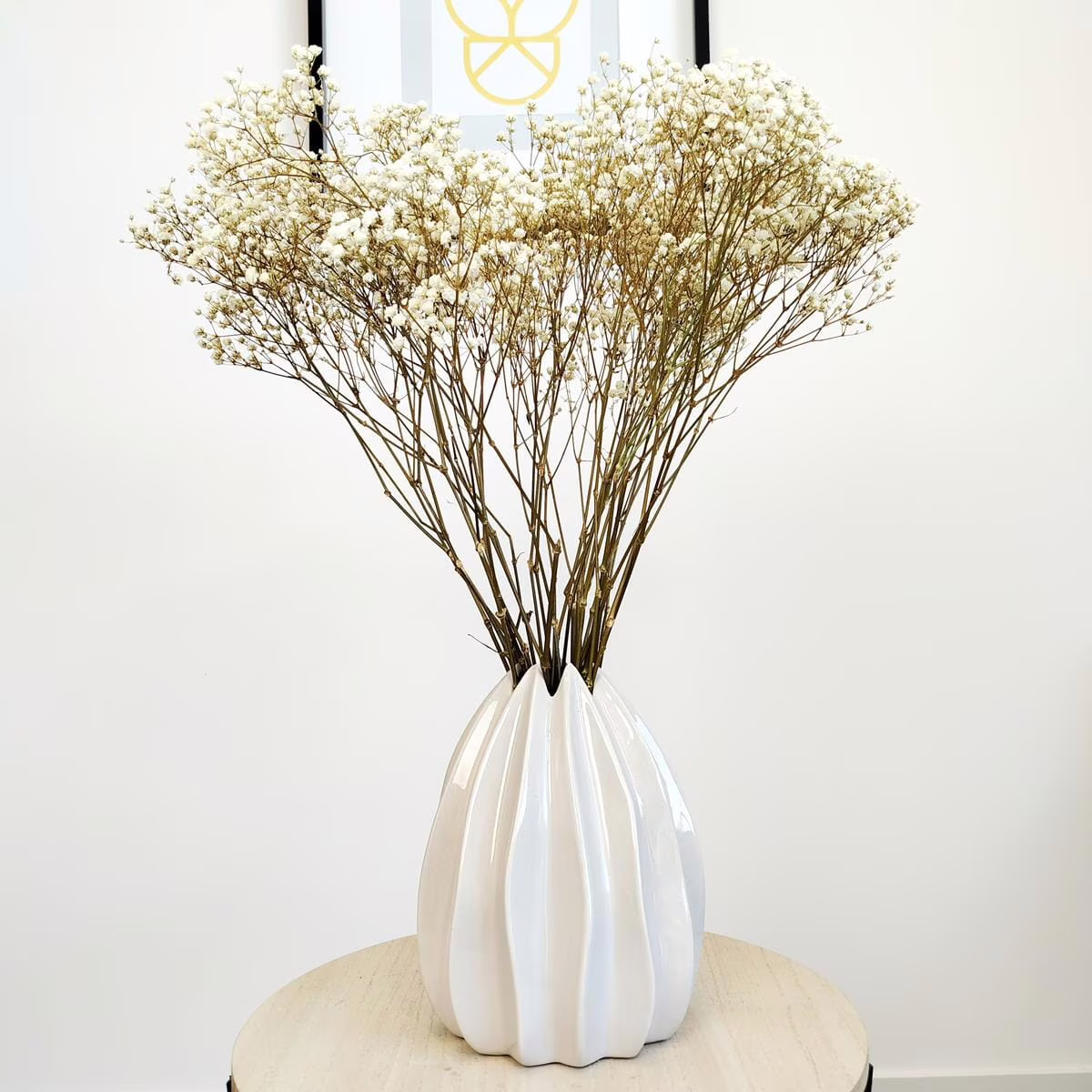 Gipsówka stabilizowana wiecznie żywa naturalnie biała duży bukiet