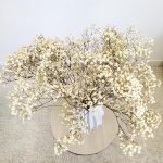 Gipsówka stabilizowana wiecznie żywa biała duży bukiet