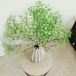 Gipsówka stabilizowana wiecznie żywa zielona mały bukiet