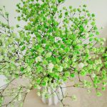 Gipsówka stabilizowana wiecznie żywa zielona mały bukiet