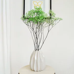 Gipsówka stabilizowana wiecznie żywa zielona mały bukiet