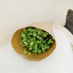 Gipsówka stabilizowana wiecznie żywa zielona mały bukiet