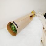 Gipsówka stabilizowana wiecznie żywa zielona mały bukiet