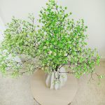 Gipsówka stabilizowana wiecznie żywa zielona mały bukiet