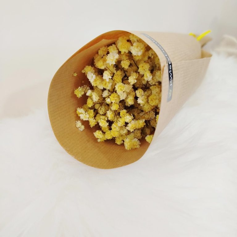 Gipsówka stabilizowana wiecznie żywa żółta mały bukiet