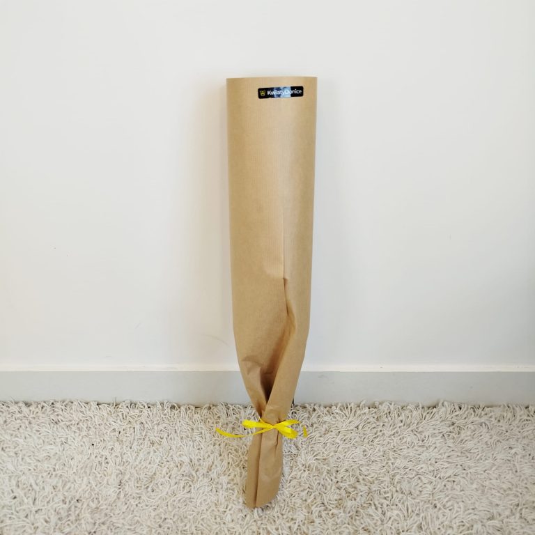 Gipsówka stabilizowana wiecznie żywa niebieska mały bukiet