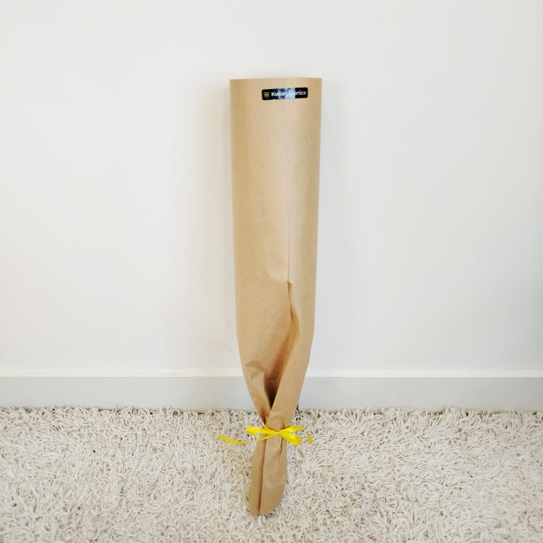 Gipsówka stabilizowana wiecznie żywa niebieska ciemna mały bukiet