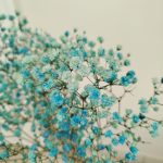 Gipsówka stabilizowana wiecznie żywa niebieska mały bukiet