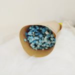 Gipsówka stabilizowana wiecznie żywa niebieska mały bukiet