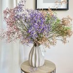 Gipsówka żywa gotowy bukiet kolorowy duży