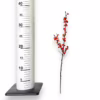 Ostrokrzew czerwony – Ilex żywa gałązka (Ilex Ve Rode Bes) 35cm 1szt.
