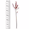 Ostrokrzew czerwony – Ilex żywa gałązka (Ilex Ve Rode Bes) 60cm 1szt.
