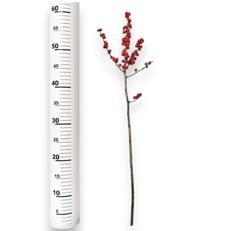 Ostrokrzew czerwony - Ilex żywa gałązka (Ilex Ve Rode Bes) 60cm 1szt.