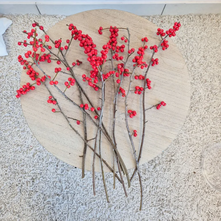 Ostrokrzew czerwony - Ilex żywa gałązka (Ilex Ve Rode Bes) 35cm 1szt.