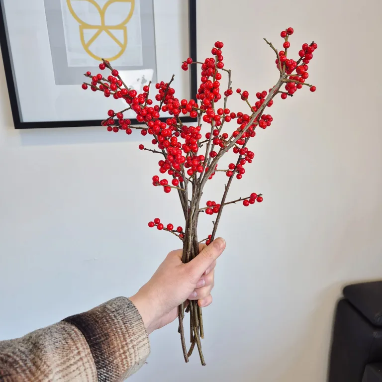 Ostrokrzew czerwony - Ilex żywa gałązka (Ilex Ve Rode Bes) 35cm 1szt.