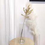 Ostrokrzew złoty - Ilex żywa gałązka (Ilex Klb Gold) 1szt.