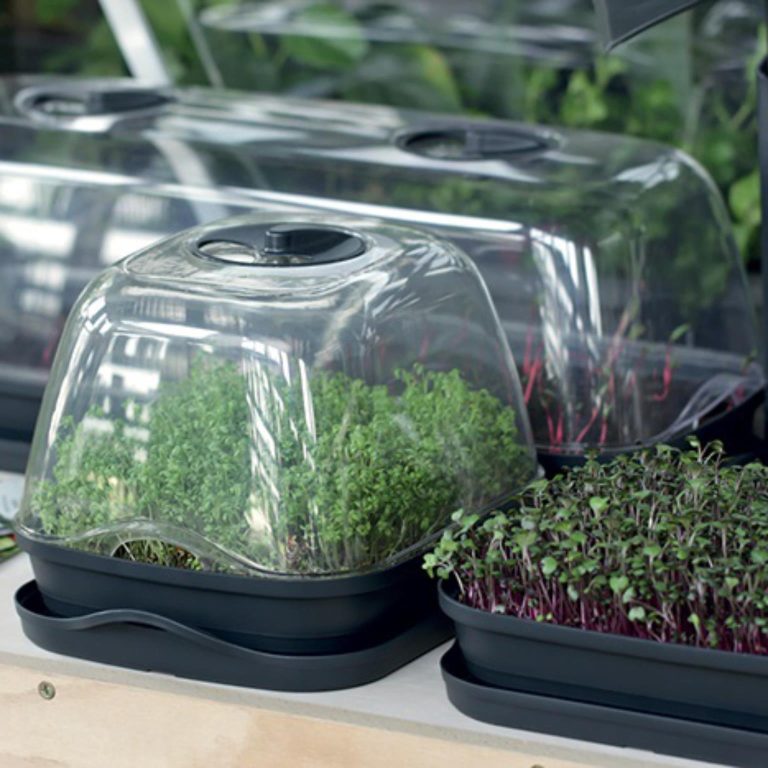 Inspekt Zestaw do wysiewu roślin i ziół miniszklarnia rozsadnik