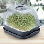 Inspekt Zestaw do wysiewu roślin i ziół miniszklarnia rozsadnik