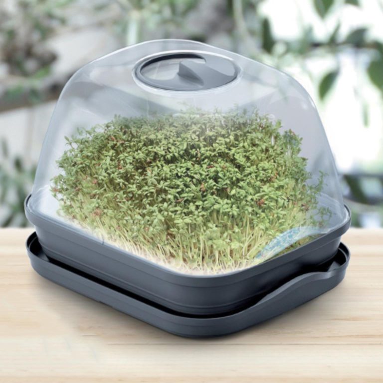 Inspekt Zestaw do wysiewu roślin i ziół miniszklarnia rozsadnik