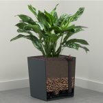 Ziemia do paproci Ph 5 - 6