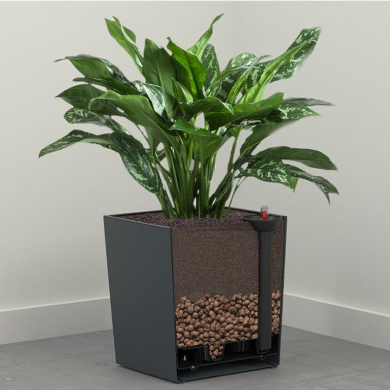 BIOVITA Ziemia do kaktusów i sukulentów 5L