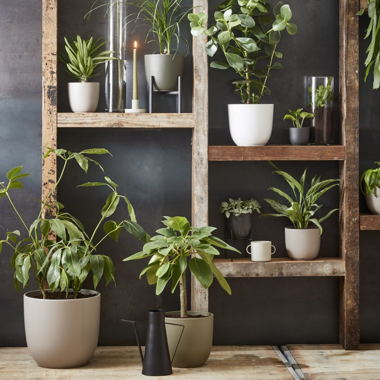 Konewka metalowa Loftowa czarna