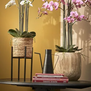 Konewka metalowa Loftowa czarna