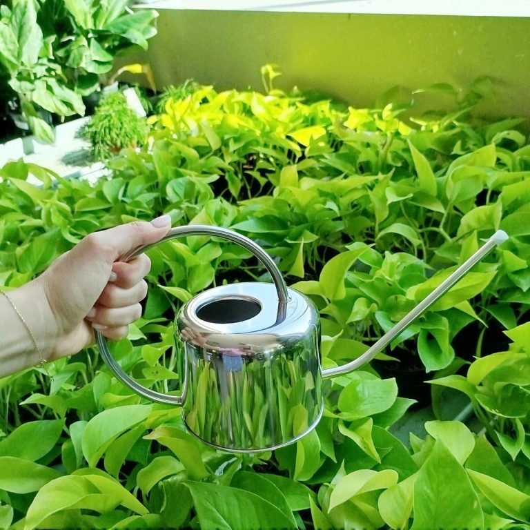 Konewka metalowa srebrna 1l