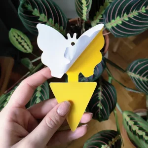 Lepy na ziemiórki i inne owady 10szt