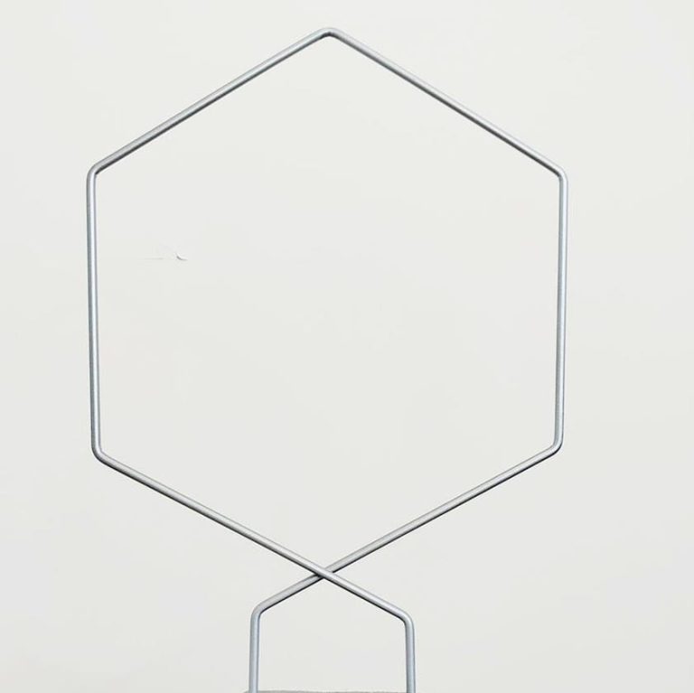 Podpora metalowa do roślin heksagon srebrny