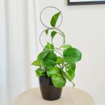 Podpora metalowa do roślin koła srebrne