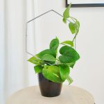 Podpora metalowa do roślin heksagon srebrny