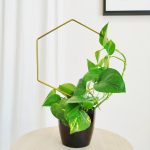 Podpora metalowa do roślin heksagon złoty