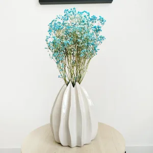 Gipsówka suszona niebieska