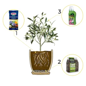 5w1 do OLIWEK - zestaw do przesadzania