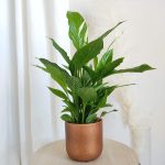 Osłonka ceramiczna na doniczkę Paul miedziana