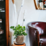 Osłonka ceramiczna Levi jasny zielony 14cm