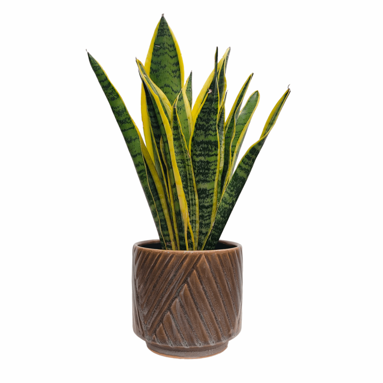 Osłonka ceramiczna Levi ciemny zielony 14cm