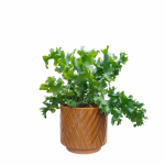 Osłonka ceramiczna Levi karmelowa 14cm