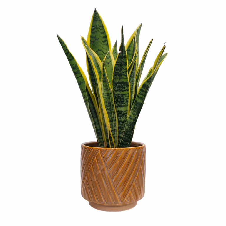 Osłonka ceramiczna Levi karmelowa 14cm