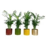 Osłonka ceramiczna Era czerwony 14cm