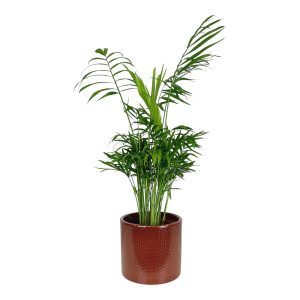 Osłonka ceramiczna Era czerwony 14cm