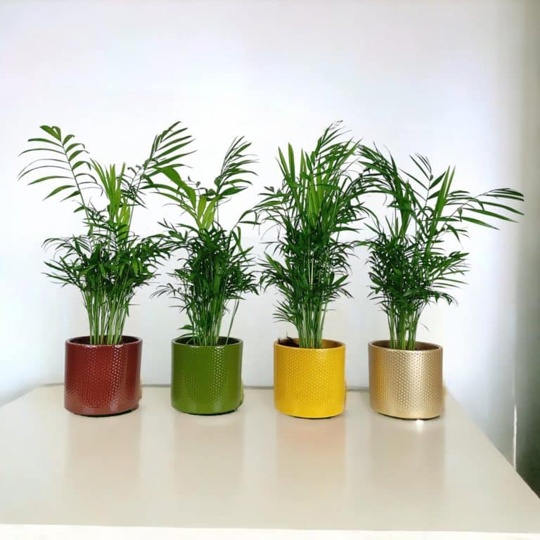 Osłonka ceramiczna Era czerwony 14cm