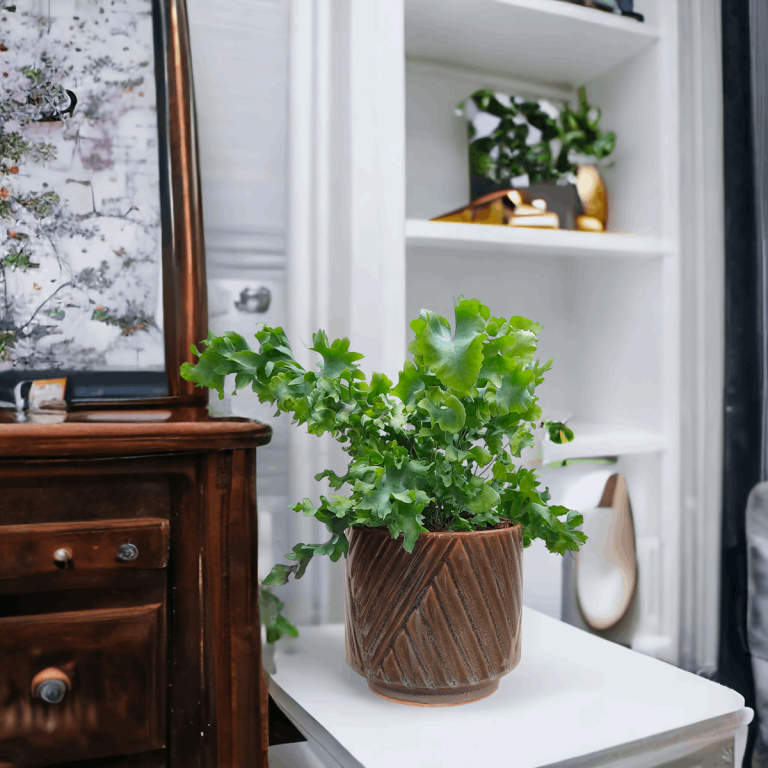 Osłonka ceramiczna Levi ciemny zielony 14cm