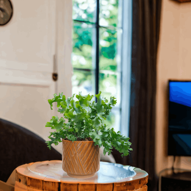 Osłonka ceramiczna Levi karmelowa 14cm