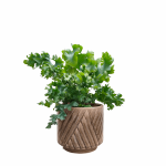 Osłonka ceramiczna Levi jasny zielony 14cm