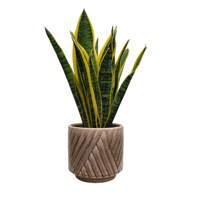 Osłonka ceramiczna Levi jasny zielony 14cm