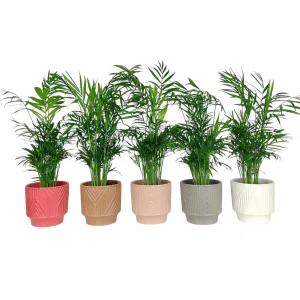 Osłonka ceramiczna Tilly  14cm  szara