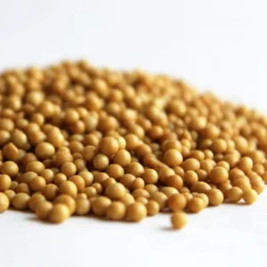 Podłoże ziemia do roślin zielonych substral z dodatkiem nawozu