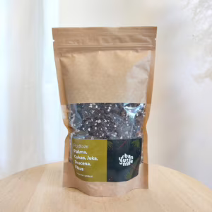 Ziemia do Palm, Cykasów, Juk, Dracen i Fikusów